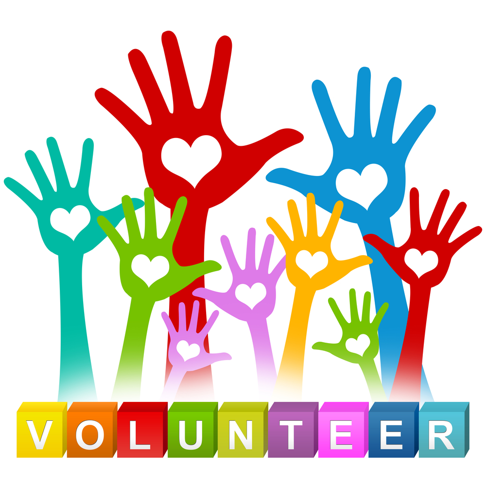 Volunteer Training